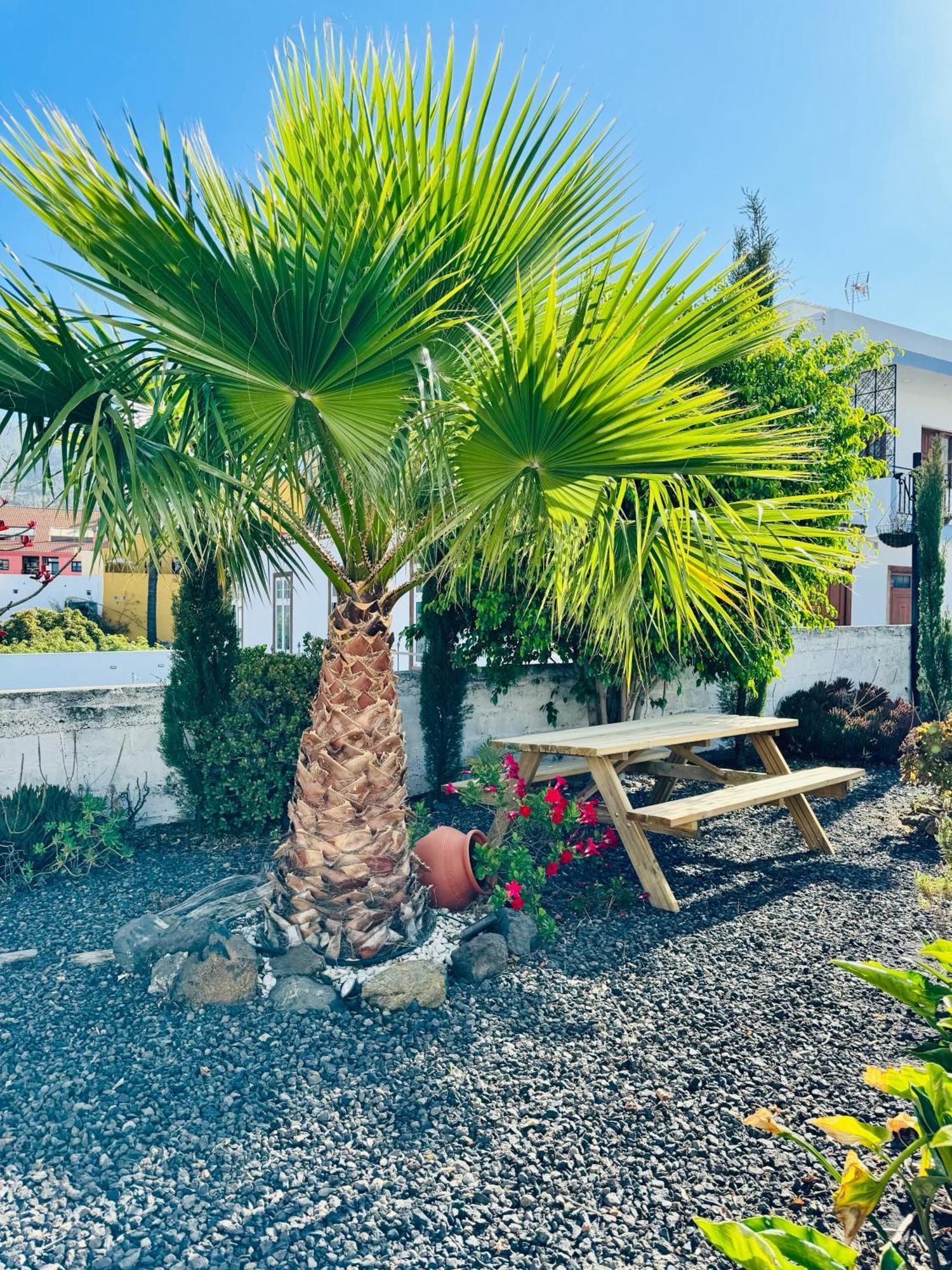 Bungalow Los Laureles El Paso Esterno foto